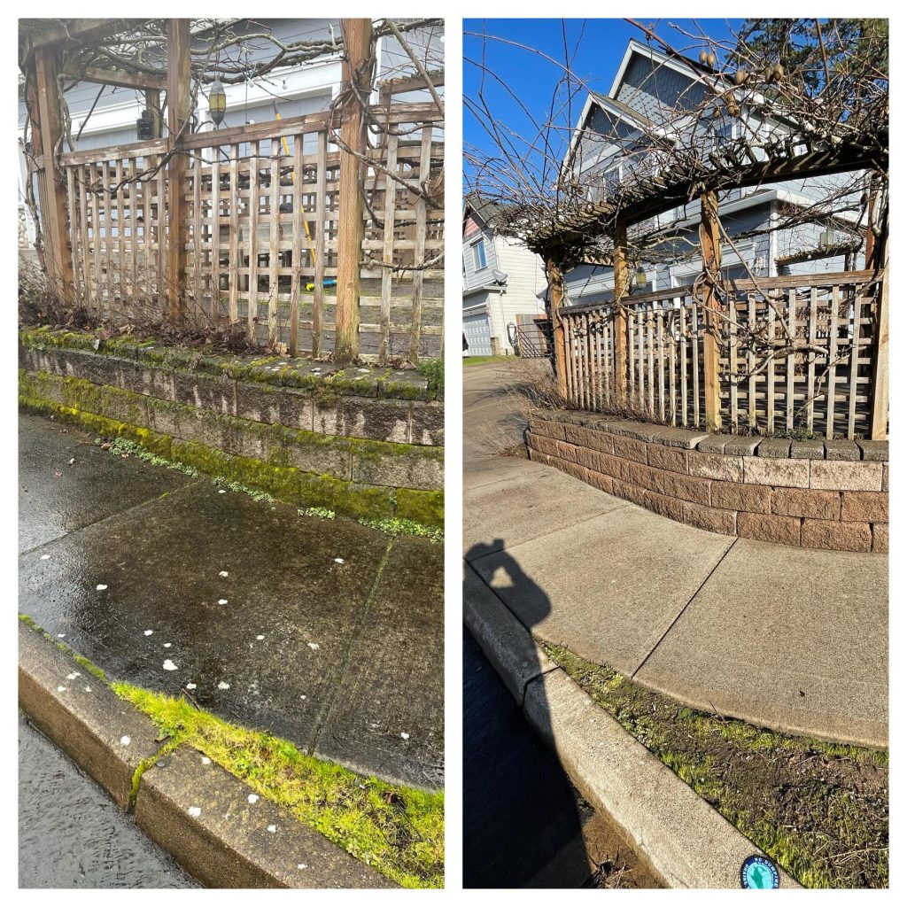 Comparison of walkway before and after cleaning