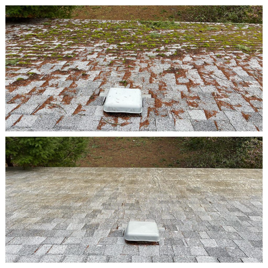 Roof before and after cleaning, moss removed.